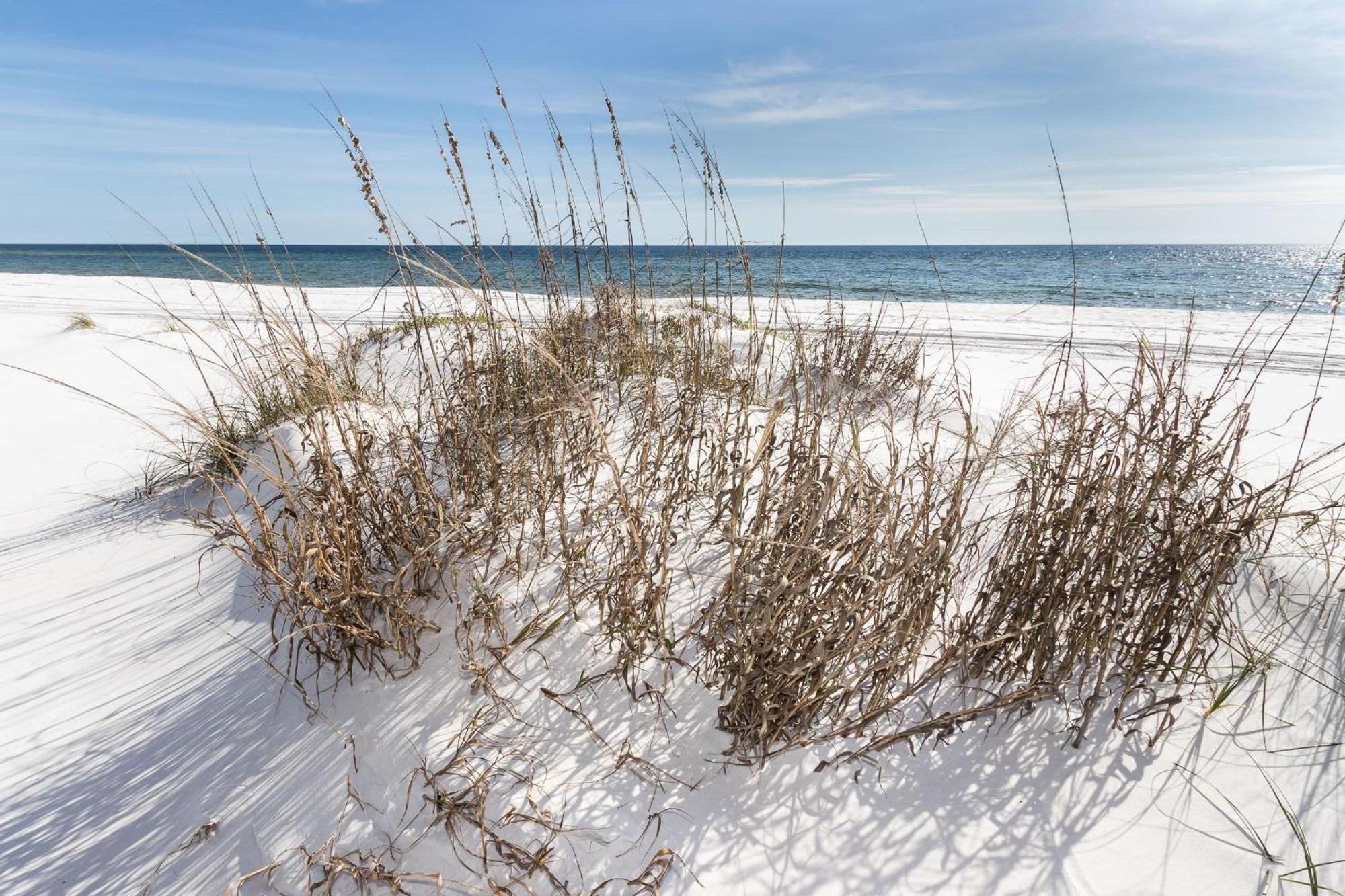 Nautilus Unit 2407 Villa Fort Walton Beach Exterior photo